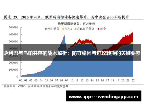 萨利巴与乌帕共存的战术解析：防守稳固与进攻转换的关键要素