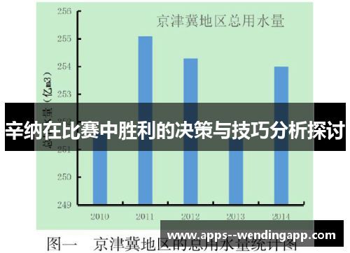 辛纳在比赛中胜利的决策与技巧分析探讨