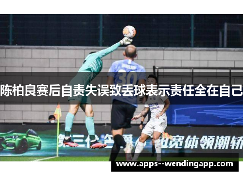 陈柏良赛后自责失误致丢球表示责任全在自己